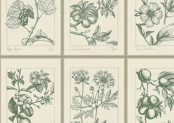Sketchbook, Coriscon - Roman Blind - Image 7